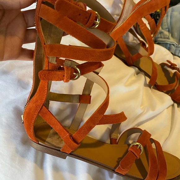 Joe's Jeans Shoes - Joes gladiator ankle sandals